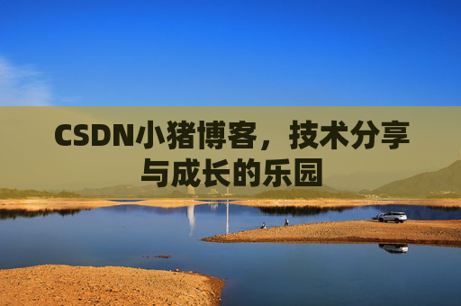 CSDN小猪博客，技术分享与成长的乐园