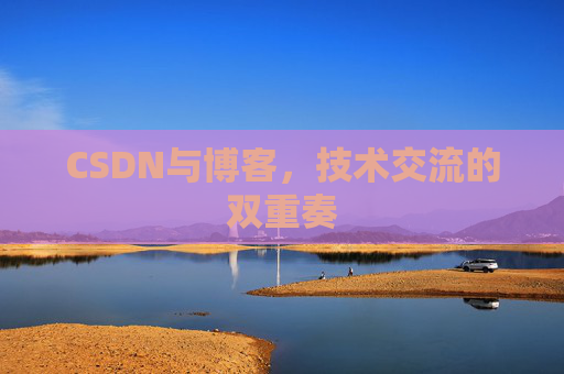 CSDN与博客，技术交流的双重奏